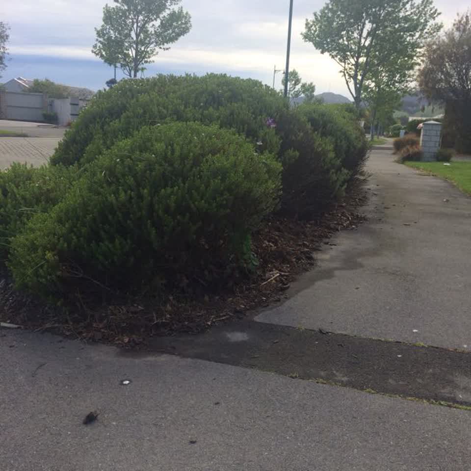 The photograph attached to this roading/streets report