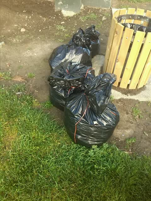 Rubbish/Recycling — a report photo