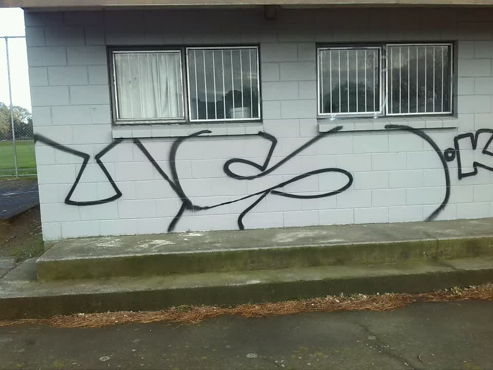 The photograph attached to this graffiti report