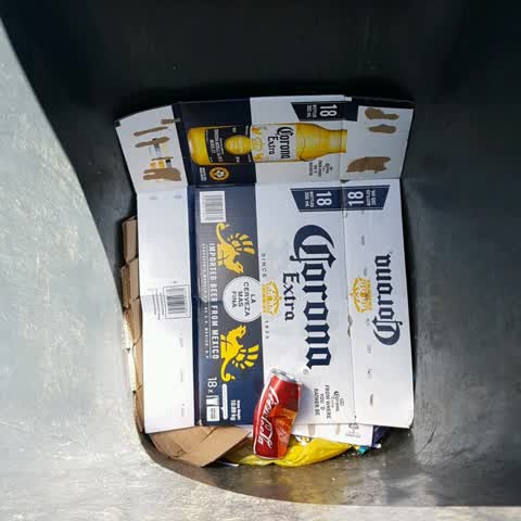 Rubbish/Recycling, a report photo