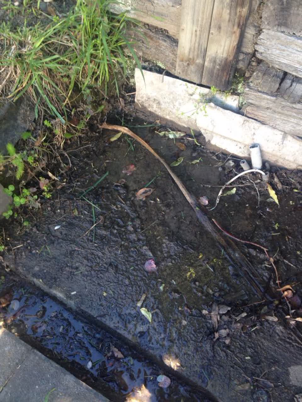 The photograph attached to this wastewater/stormwater report
