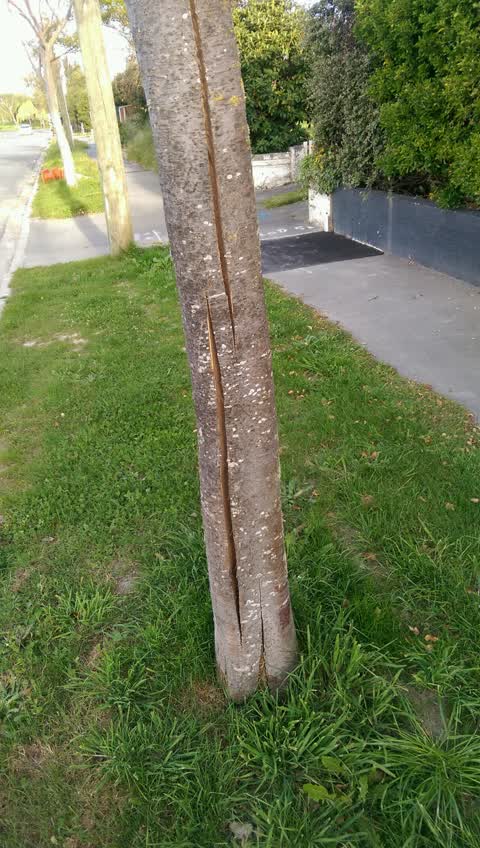 Roading/Streets, a report photo