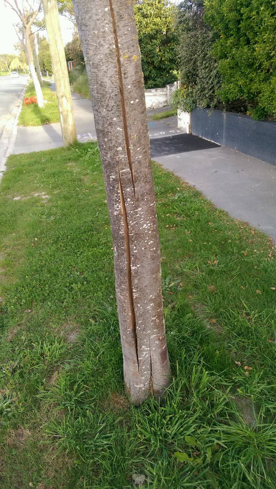 The photograph attached to this roading/streets report
