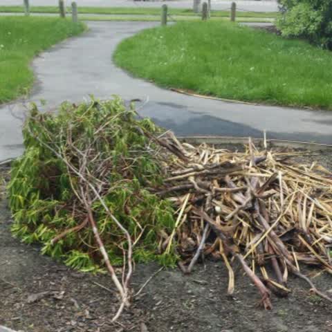 Parks, a report photo