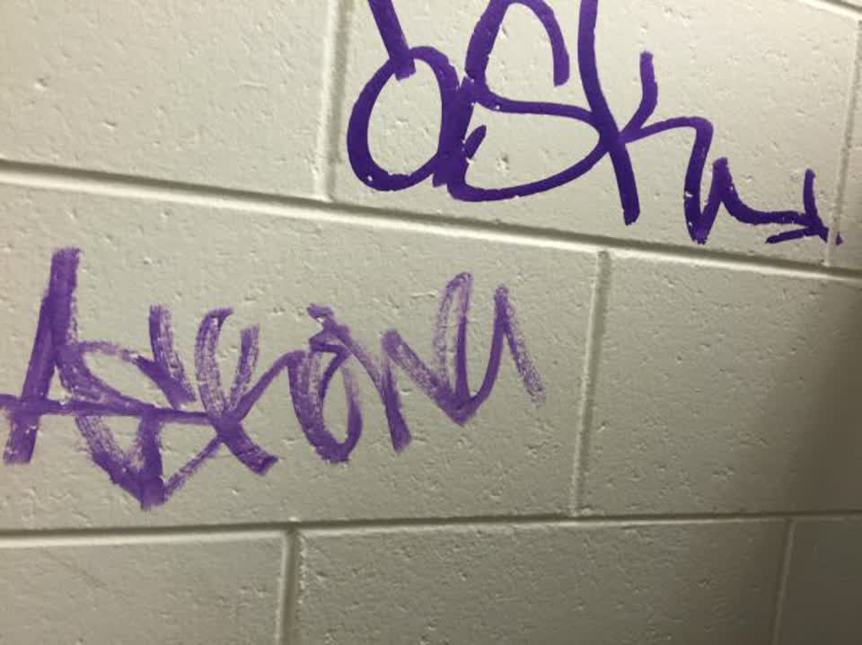 The photograph attached to this graffiti report