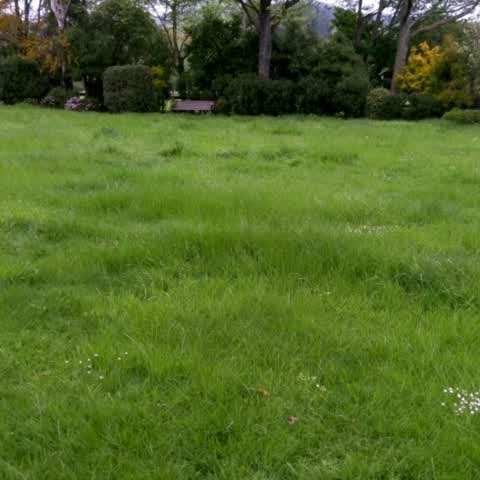 Parks, a report photo