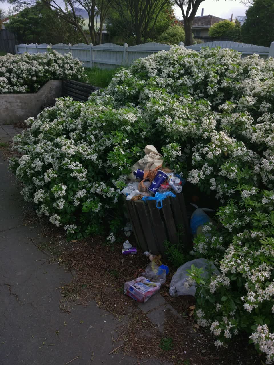 The photograph attached to this rubbish/recycling report