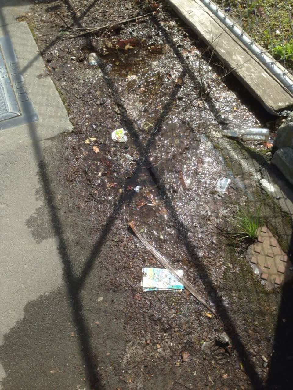 The photograph attached to this roading/streets report