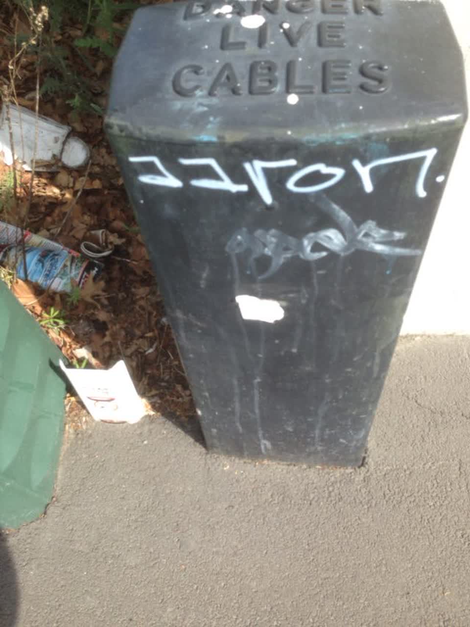 The photograph attached to this graffiti report