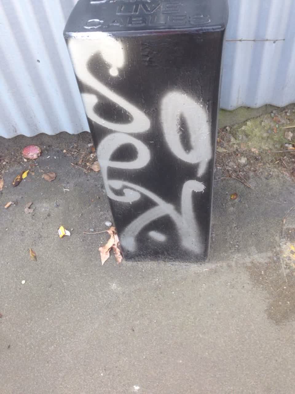 The photograph attached to this graffiti report