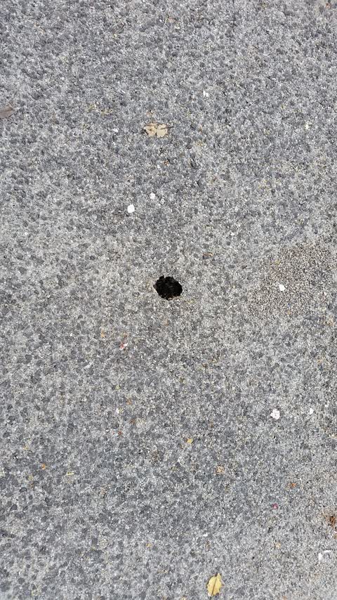 Roading/Streets, a report photo