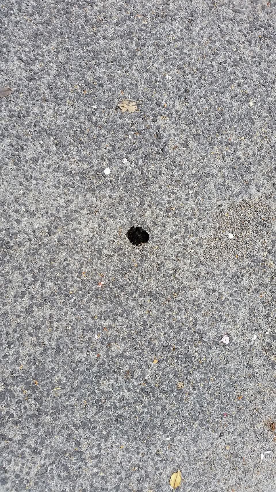 The photograph attached to this roading/streets report