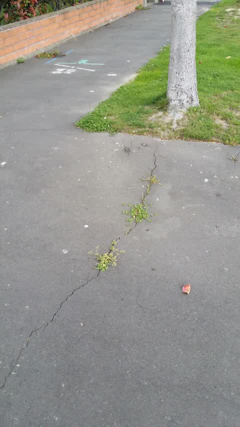 Roading/Streets, a report photo