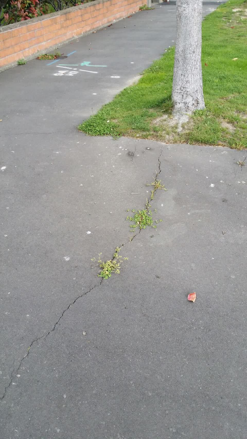 The photograph attached to this roading/streets report