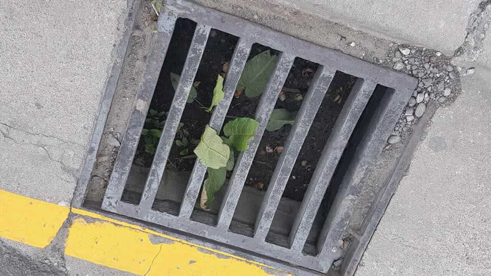 The photograph attached to this wastewater/stormwater report