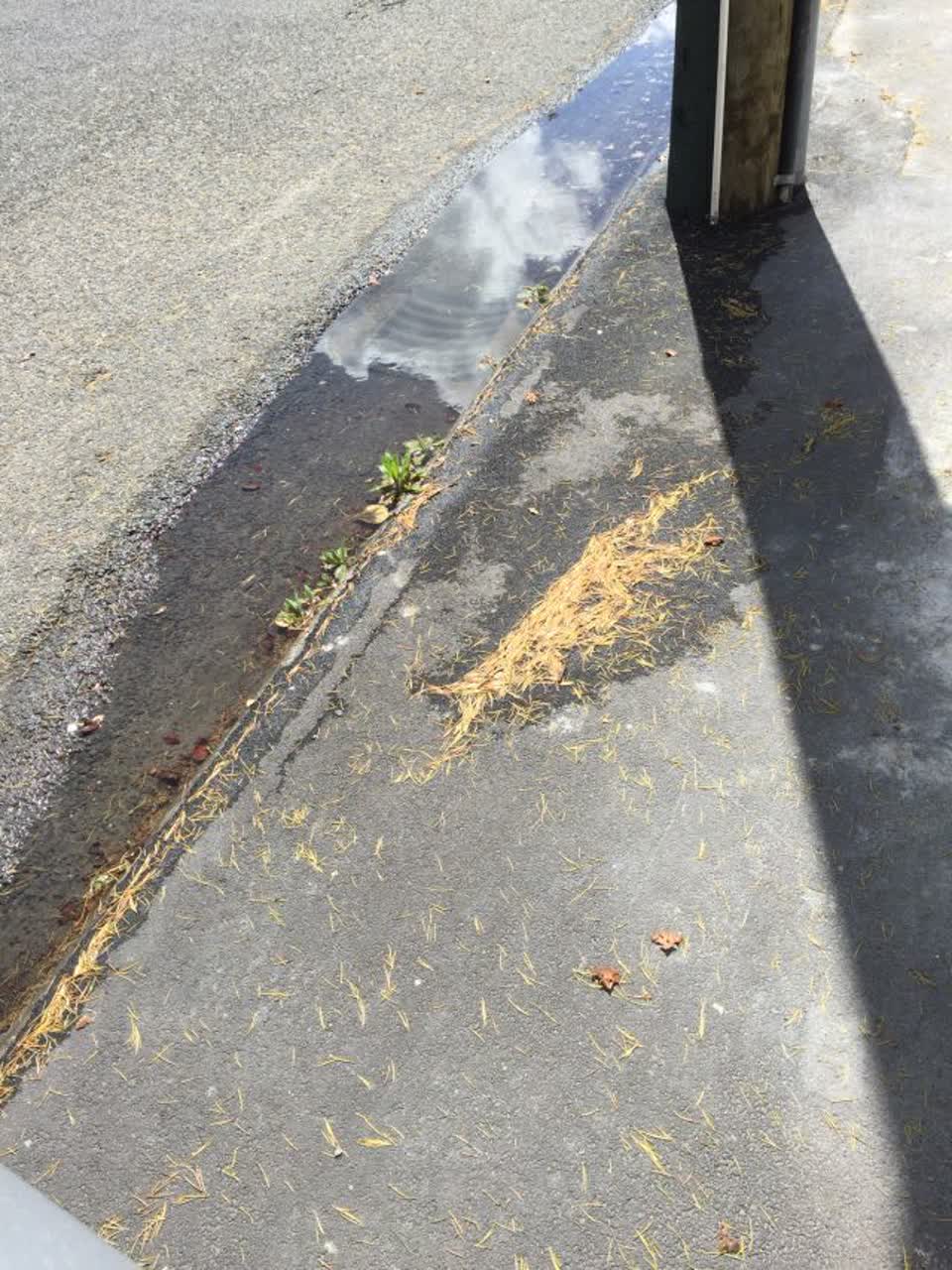 The photograph attached to this wastewater/stormwater report