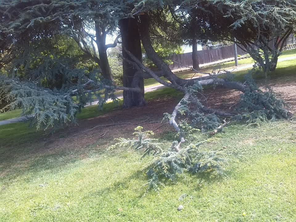 The photograph attached to this parks report