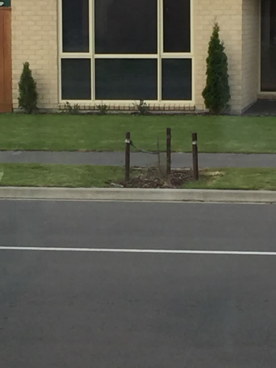 The photograph attached to this roading/streets report