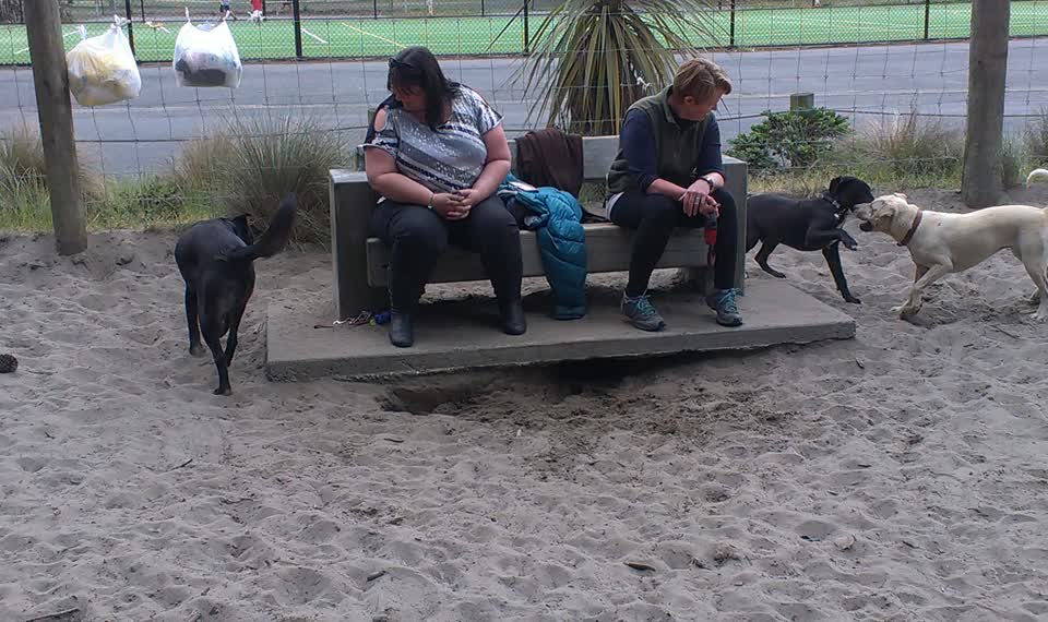 The photograph attached to this parks report
