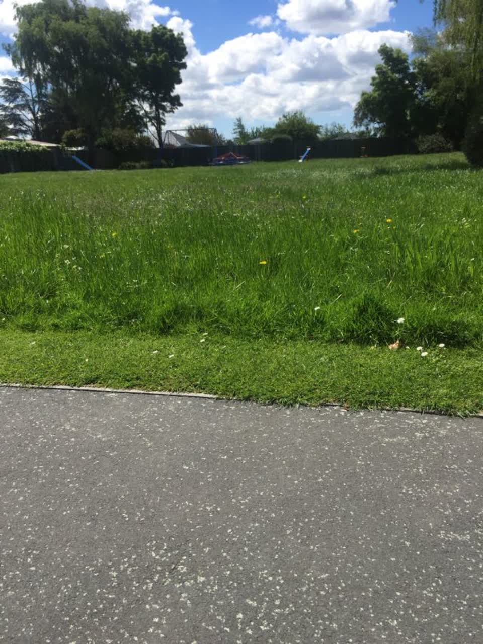 The photograph attached to this parks report