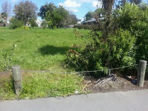 Parks, a report photo
