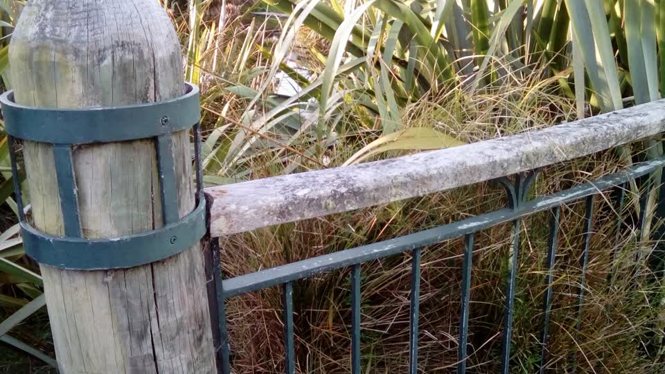 The photograph attached to this parks report