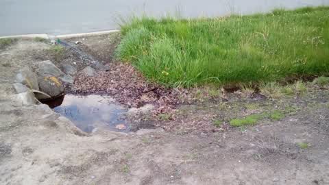 Roading/Streets, a report photo