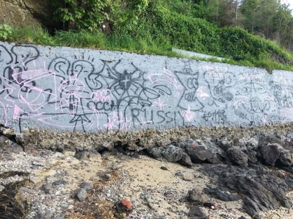 The photograph attached to this graffiti report