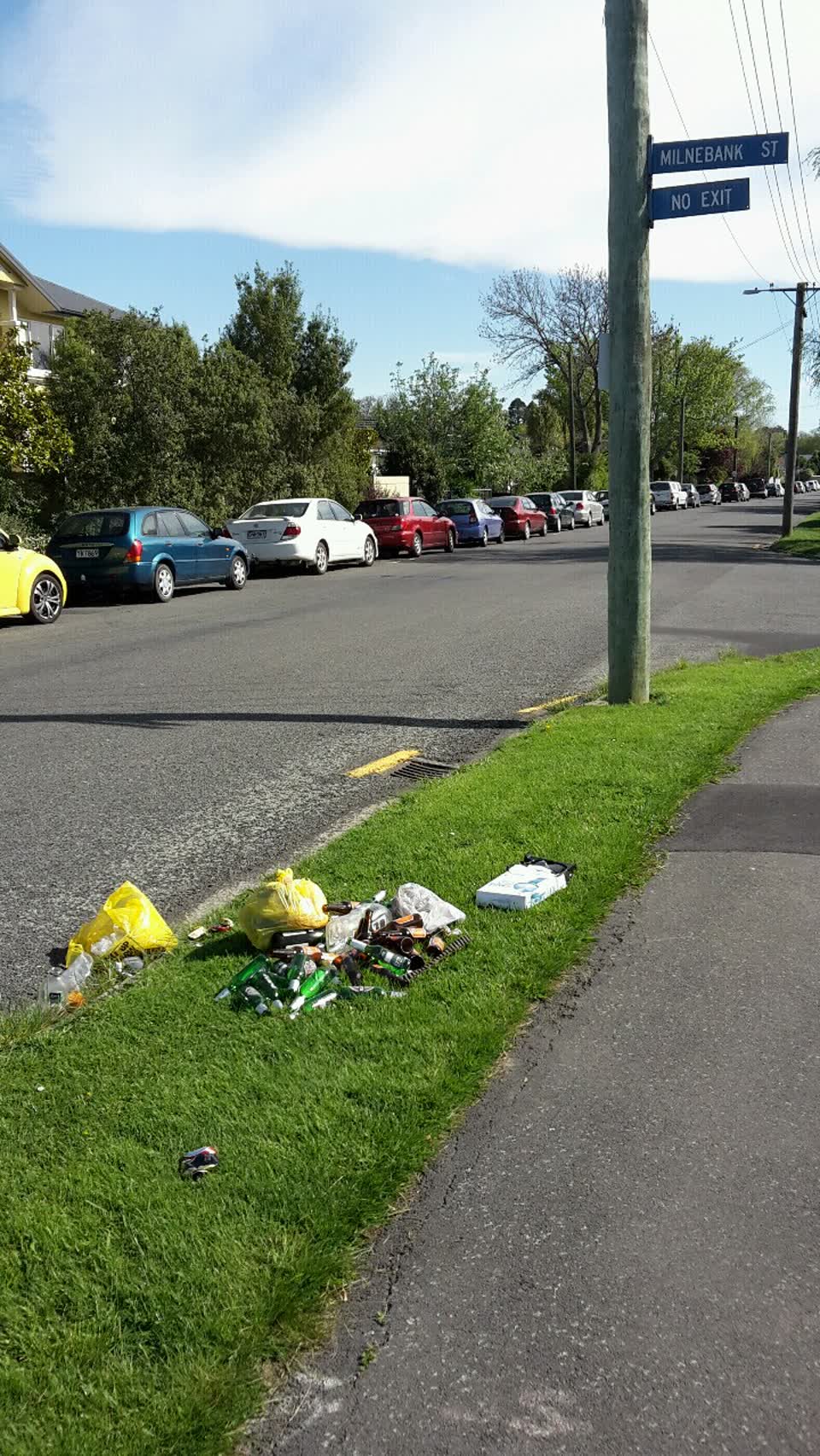 The photograph attached to this rubbish/recycling report