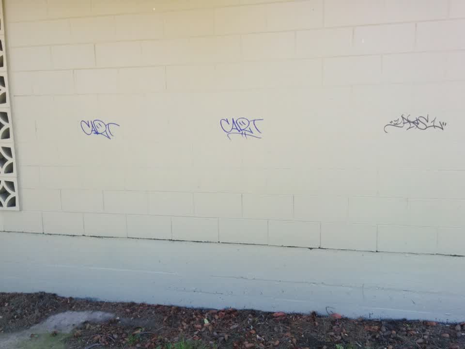 The photograph attached to this graffiti report