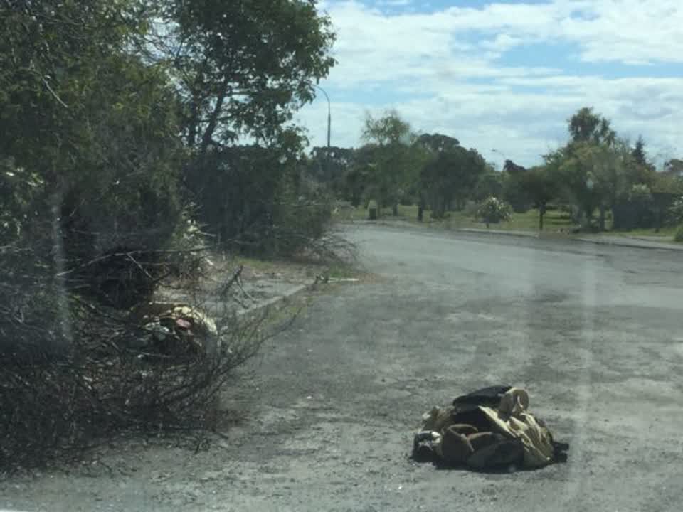 The photograph attached to this rubbish/recycling report