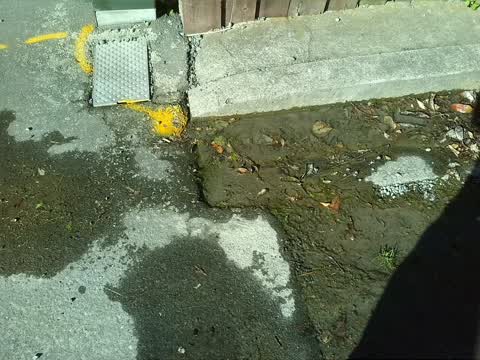 Roading/Streets, a report photo