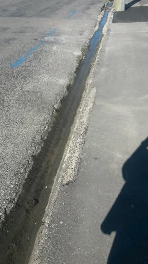Roading/Streets, a report photo