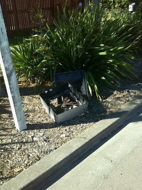 Rubbish/Recycling, a report photo