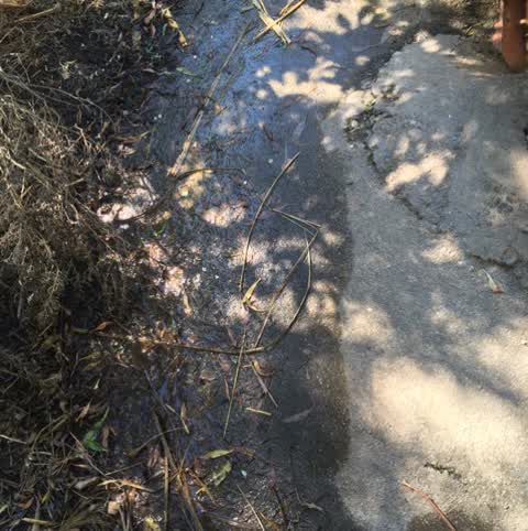 Wastewater/Stormwater, a report photo