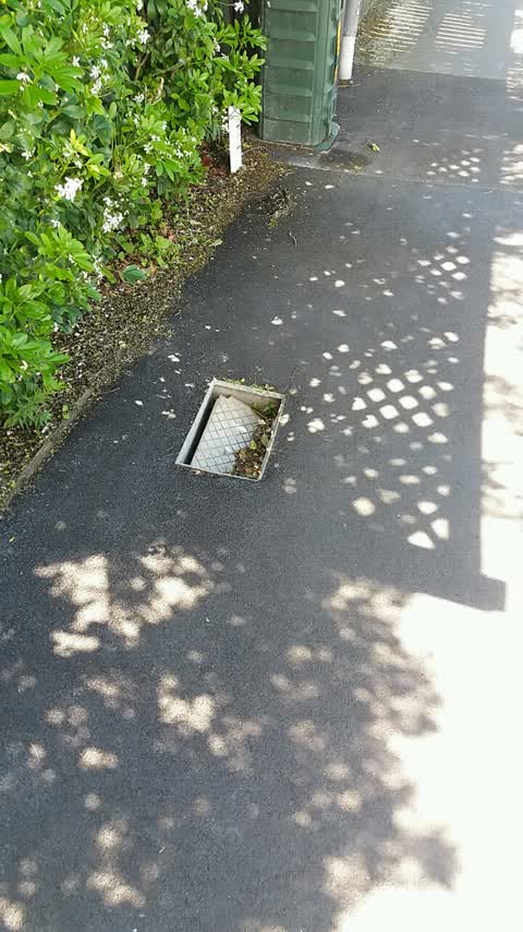 Roading/Streets, a report photo