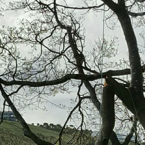 Parks, a report photo