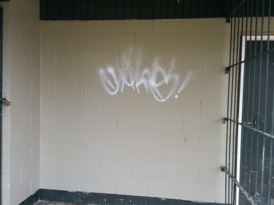The photograph attached to this graffiti report