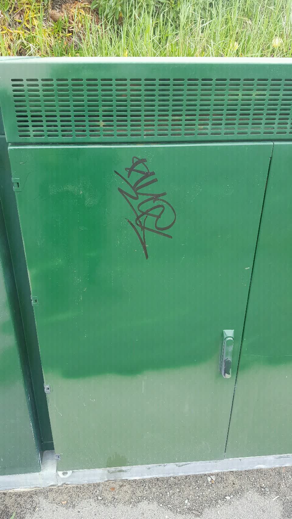 The photograph attached to this graffiti report