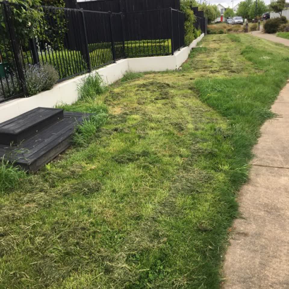 The photograph attached to this parks report