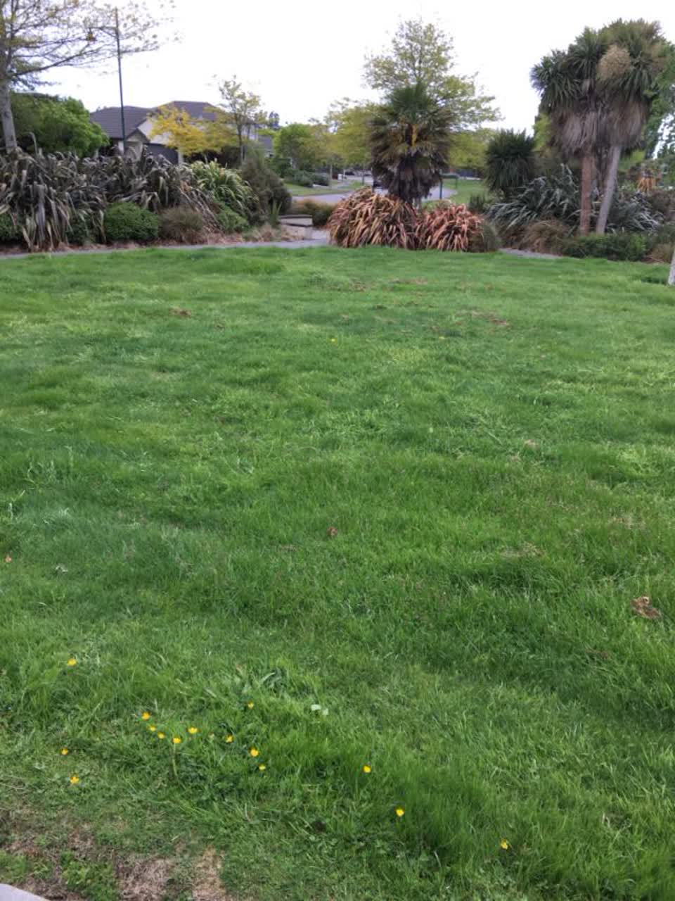 The photograph attached to this parks report