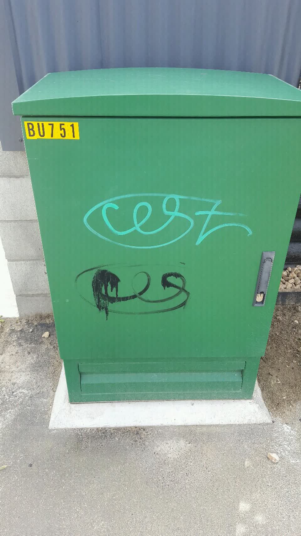 The photograph attached to this graffiti report