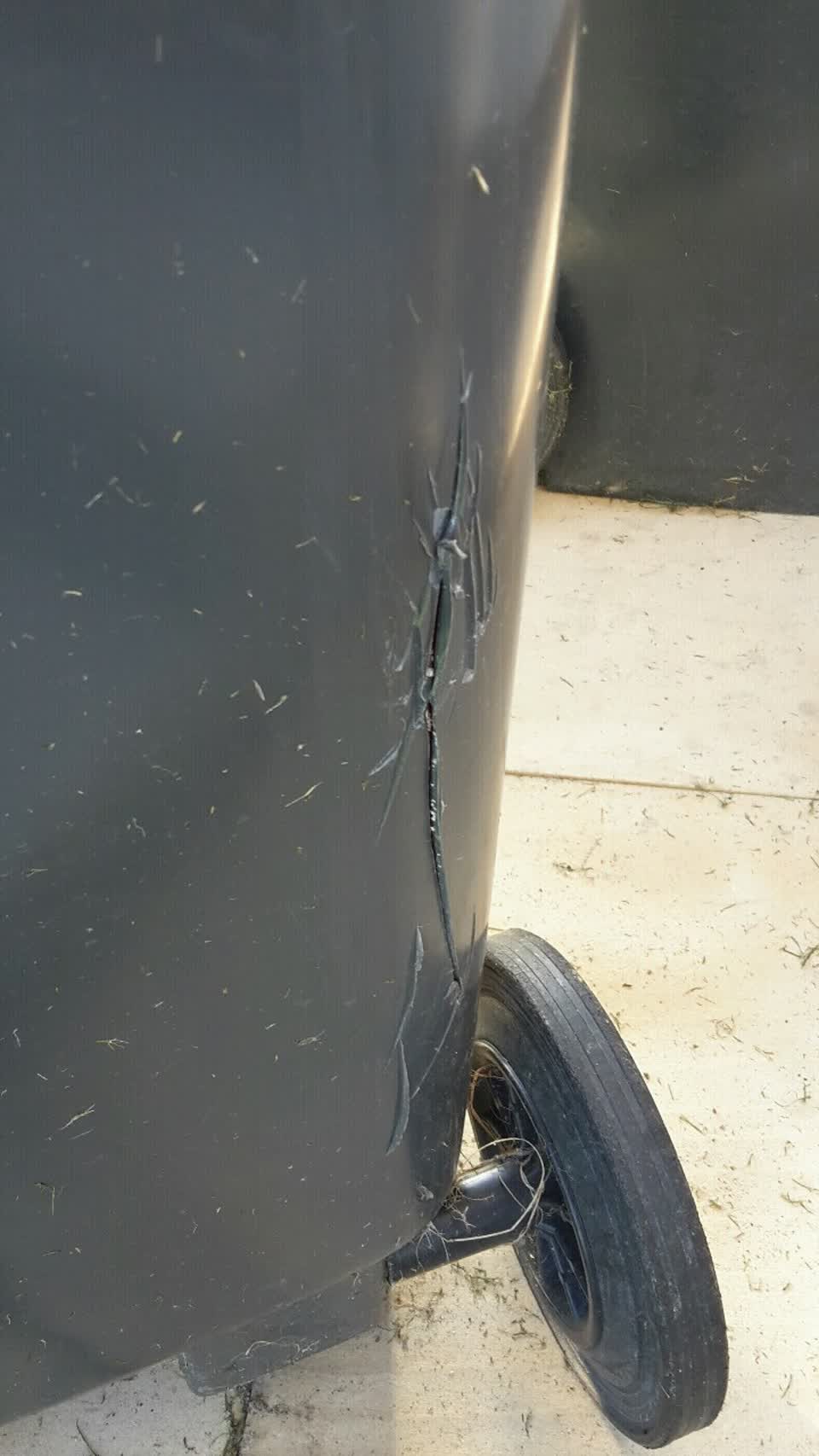 The photograph attached to this rubbish/recycling report
