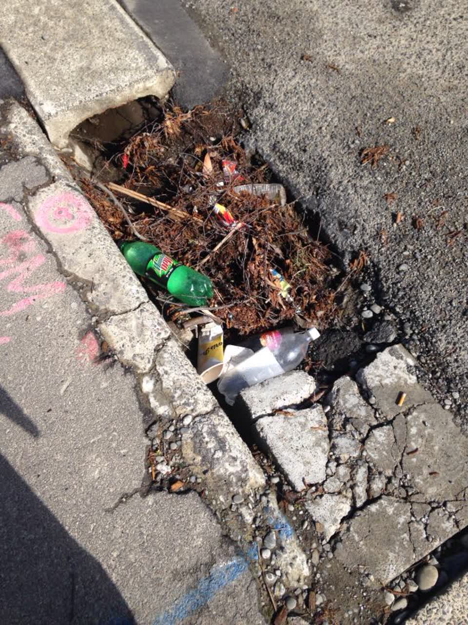 The photograph attached to this wastewater/stormwater report