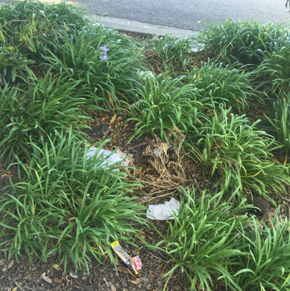 The photograph attached to this rubbish/recycling report