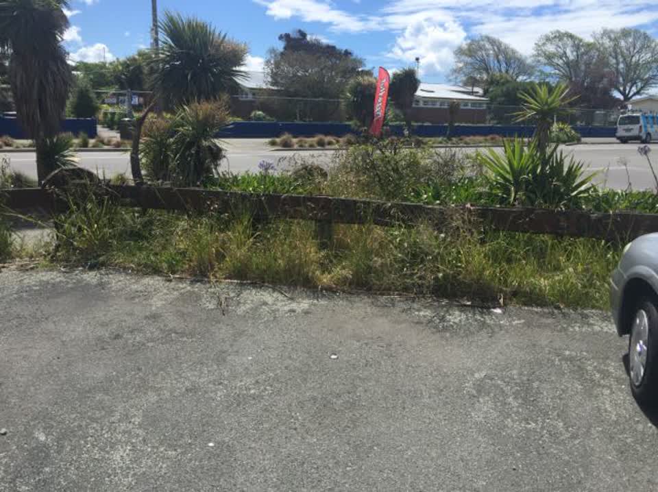 The photograph attached to this parks report