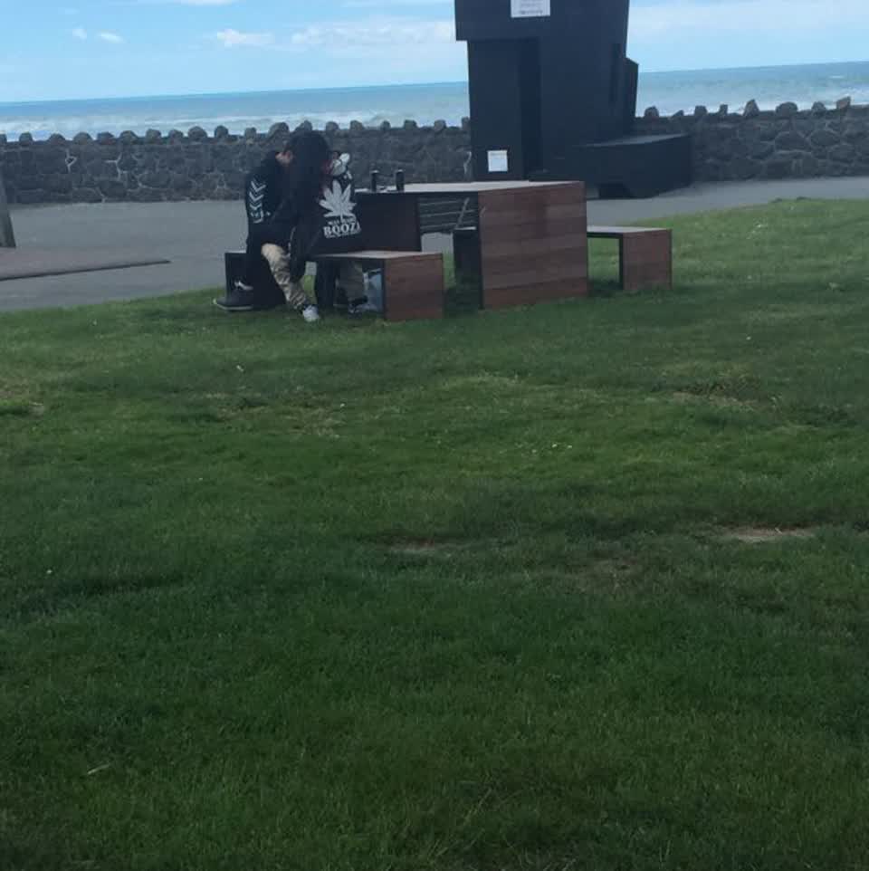 The photograph attached to this parks report