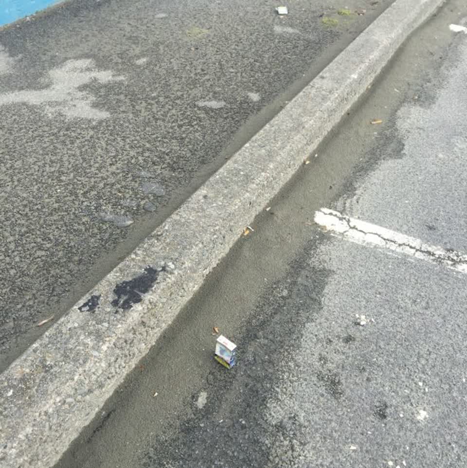 The photograph attached to this rubbish/recycling report