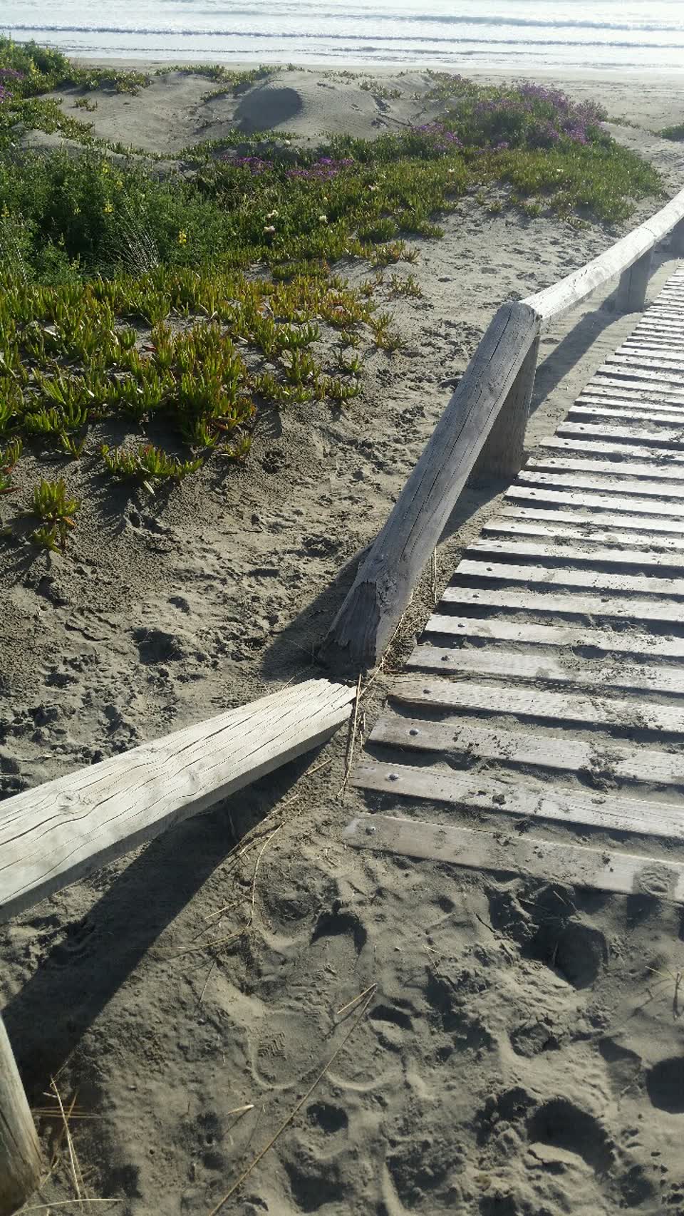 The photograph attached to this parks report