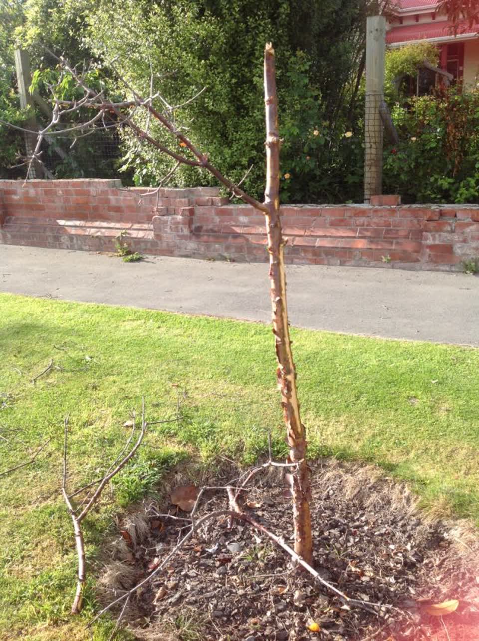The photograph attached to this parks report